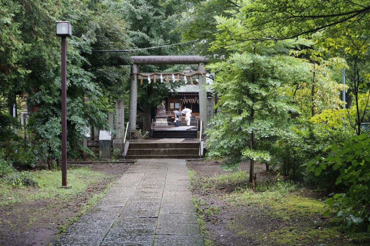 緑に囲まれた八雲氷川神社の参道。