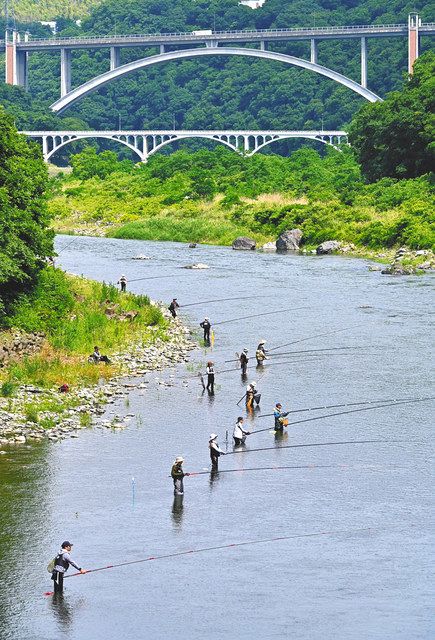 相模川の流れが緩い淵で毛バリを使ったアユ釣りを楽しむ釣り人＝いずれも相模原市緑区で
