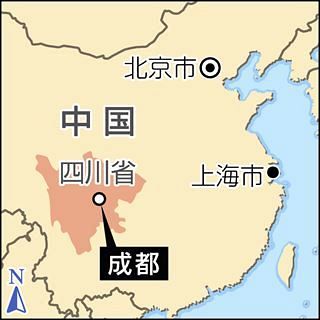 動画あり 本場 中国四川省でパンダ繁殖に向け奮闘 上野動物園元飼育員の阿部展子さんが描く夢 東京新聞 Tokyo Web