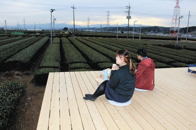 茶畑テラスで一服 狭山茶と景観を楽しんで 入間で10日営業開始 事前予約で貸し切り：東京新聞デジタル