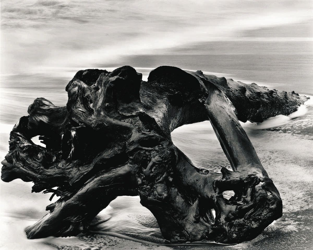 平凡な被写体が「写真作品」に 米国の巨匠ウィン・バロック展 東京工芸