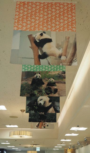 シャンシャン ずーっと大好きだよ 返還機に写真展や関連商品 松坂屋