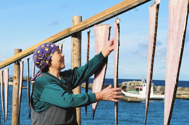 ナマダ ずらり 冬の光景 館山で開き干し始まる 東京新聞 Tokyo Web