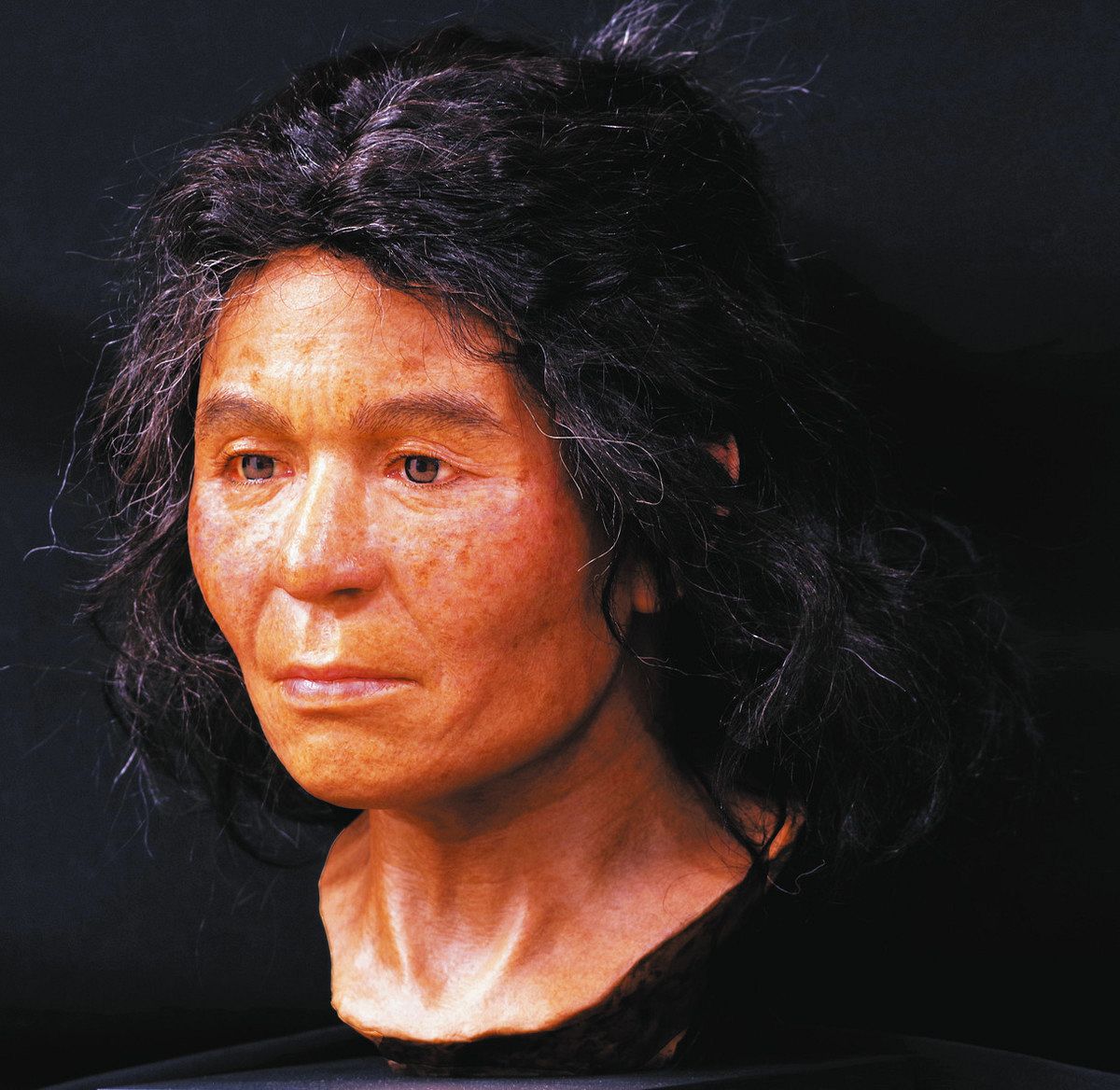 最新ゲノムデータ×考古学 特別展「古代DNA－日本人のきた道－」 3月15