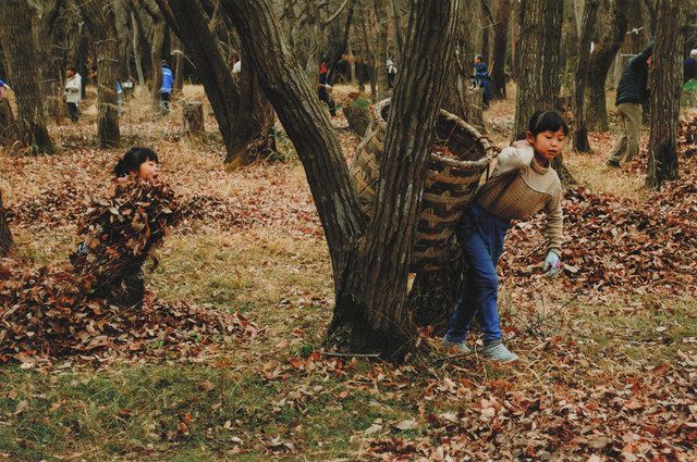 武蔵野」の面影伝える 8人それぞれの視点 新宿できょうから写真展