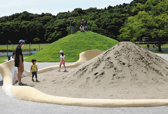 巨大砂山 巣穴の迷路 松戸の自然公園に新たな遊び場 東京新聞 Tokyo Web