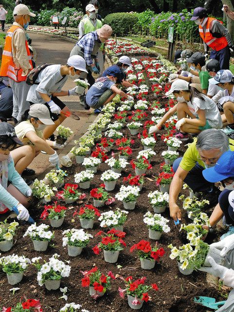 世代超え 交流の花植え 夢見ケ崎動物公園 児童80人参加 東京新聞 Tokyo Web