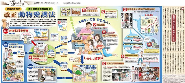 改正動物愛護法 No 1464 東京新聞 Tokyo Web
