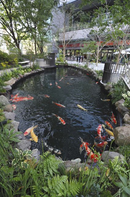 常盤橋地区、新名所に名乗り 超高層ビル「常盤橋タワー」に行ってみた 