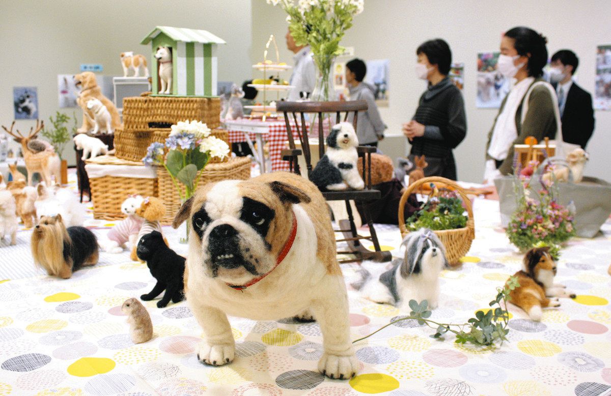 中山みどりさん作品展 筑西で犬や猫など400点 本物そっくりフェルト