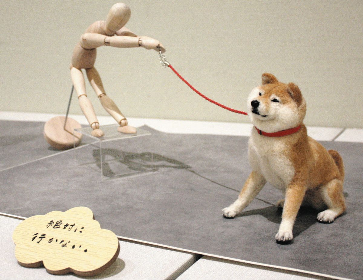 中山みどりさん作品展 筑西で犬や猫など400点 本物そっくりフェルト