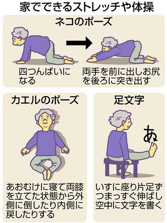 外出自粛 運動不足の心配 体操や散歩でリフレッシュ 東京新聞 Tokyo Web