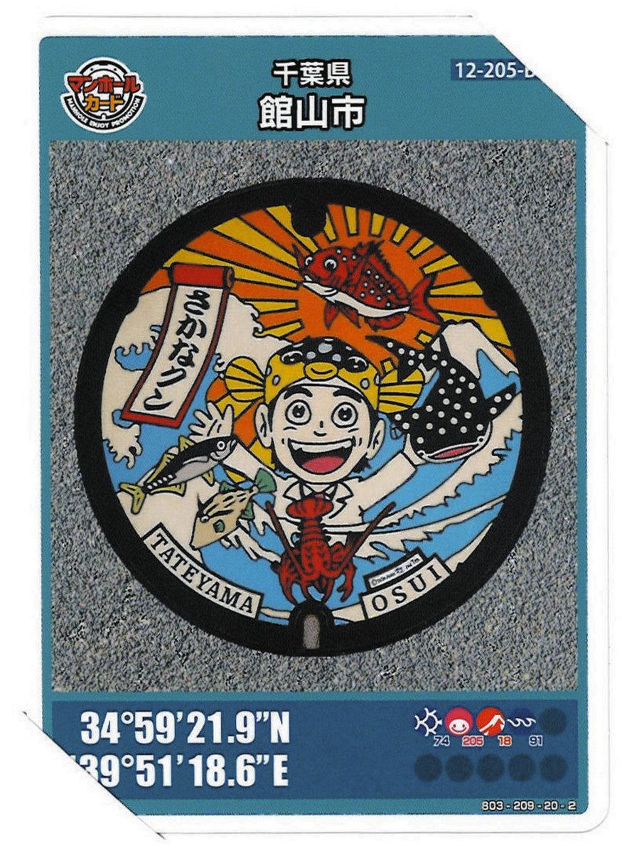 マンホールカード 千葉県 11枚 さかなクンデザインのマンホールカード 合格祈願版を配布 館山