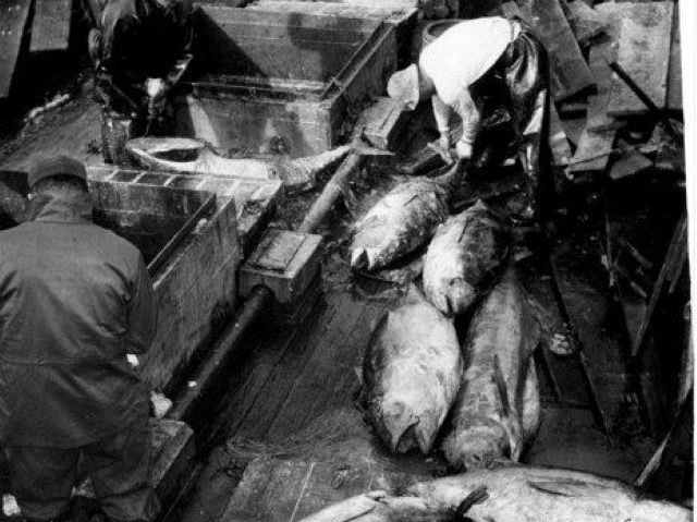 核廃絶の「希代のオーガナイザー」田中熙巳さん91歳の半生 長崎で被爆