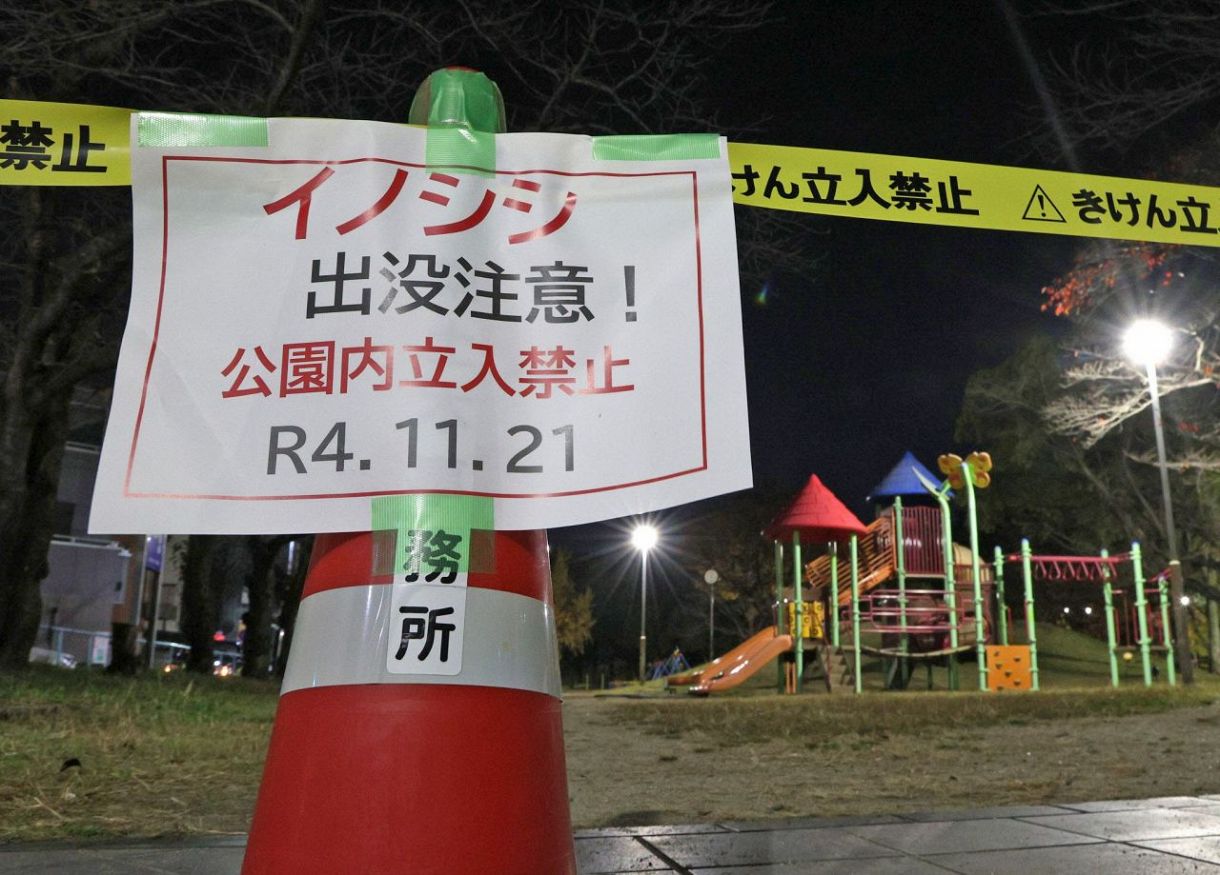 名古屋市の市街地にある公園では昨年11月、イノシシが出没して立ち入り禁止となった