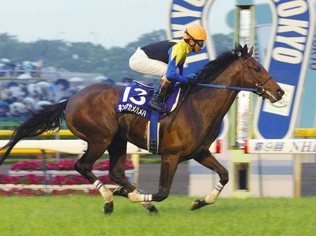 キングカメハメハ死ぬ ０４年ダービー馬 東京新聞 Tokyo Web