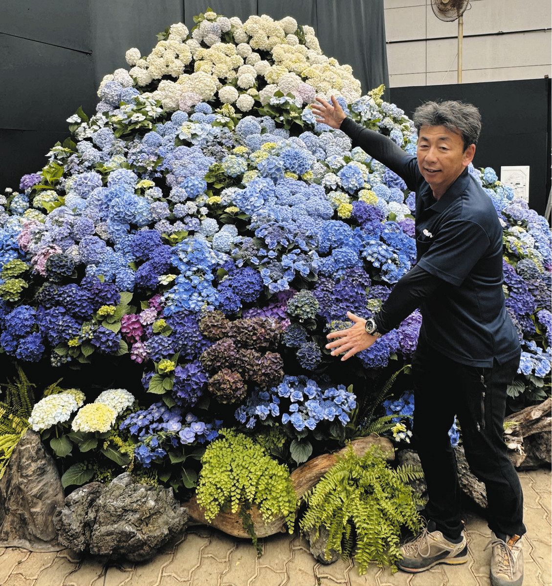 グランドホールセール 絶景のアジサイ富士山 きょうからとちぎ花センターで10県の品種 靴