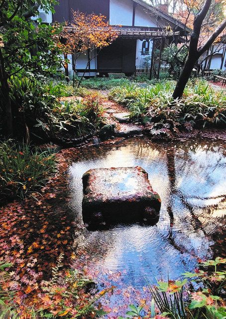 ラリーポイントの一つの「はけの森美術館」の中庭の湧水池＝小金井市で