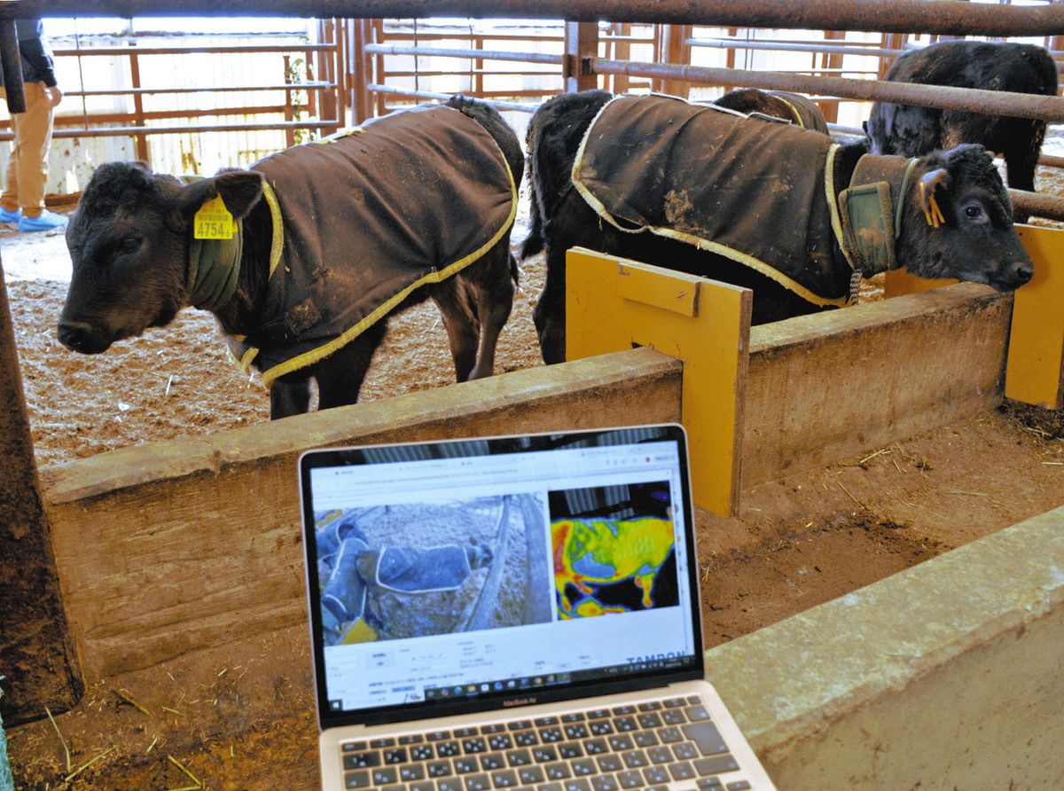 うしこ様 確認用 赤牛様 確認用 10/8 赤牛様 確認