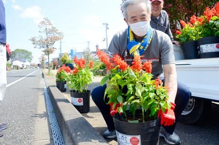 聖火コースにサルビア６００鉢 円谷幸吉の故郷 福島県須賀川市 東京新聞 Tokyo Web