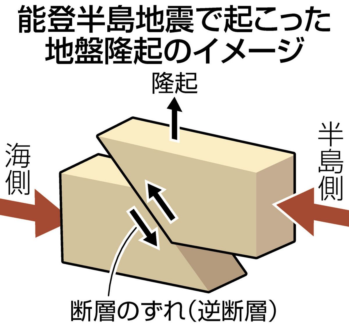 能登半島地震 ～海沿い景観一変～ 繰り返された大規模隆起 最大4