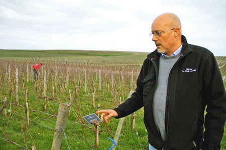 フランス西部ボルドー近郊で２月、温暖化が進む中でのブドウ栽培について話す責任者のアリックス・コンブさん