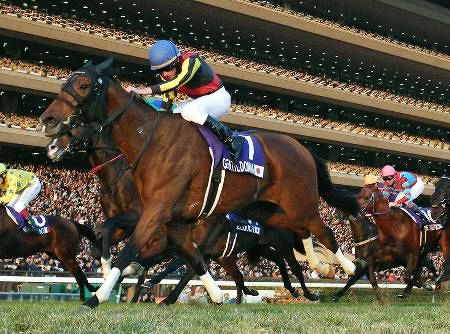ジェンティルドンナが死ぬ 12年牝馬3冠、G1レース7勝：東京新聞