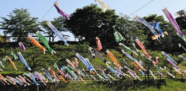 こいのぼり 成田にこいのぼり2000匹：東京新聞デジタル