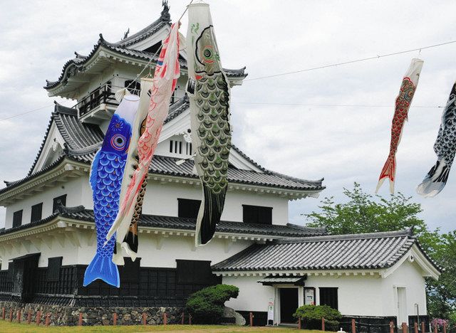 成田にこいのぼり2000匹：東京新聞デジタル