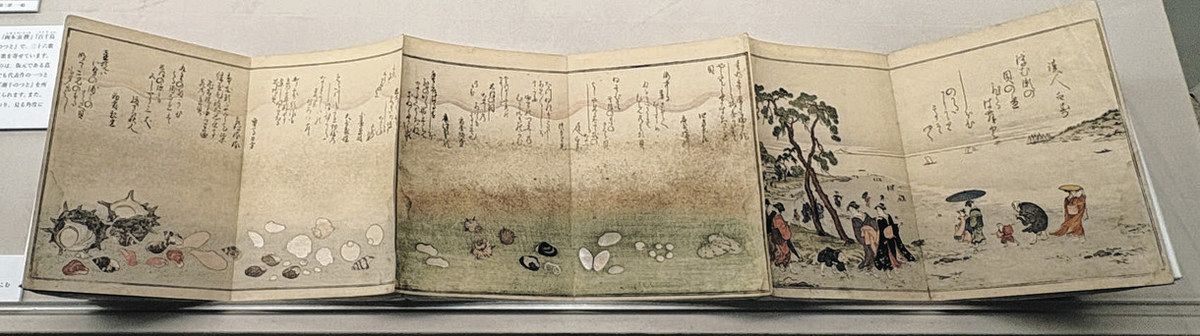 蔦重プロデュース 江戸の出版 松戸・聖徳大所蔵の狂歌絵本など展示