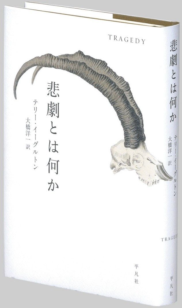 詩をどう読むか/岩波書店/テリ・イ-グルトン（単行本） Amazon.co.jp: 詩を