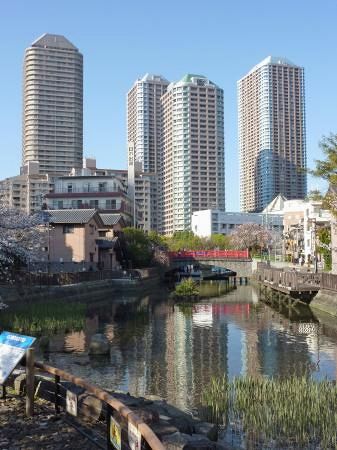 ぷらっとTOKYO】「佃」 地名がつくだ煮の語源に：東京新聞 TOKYO Web