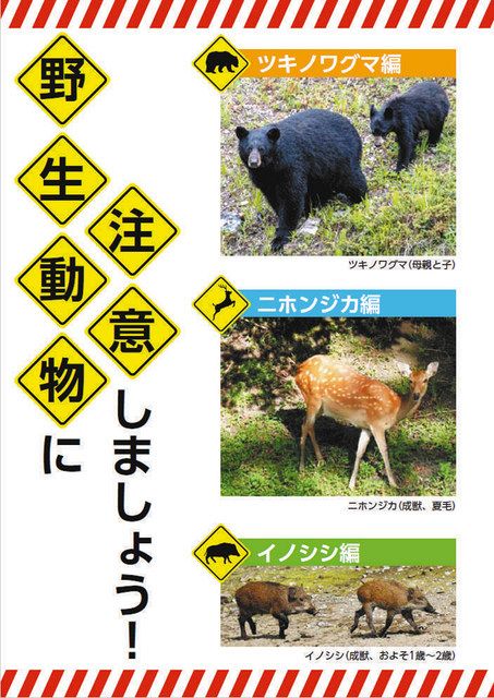 野生動物にご注意を 対応法などパンフに クマ目撃増加前に 全世帯へ配布 東京新聞 Tokyo Web