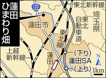 蓮田ひまわり畑 埼玉県蓮田市 種まき 草刈り 大輪咲かせよう 東京新聞 Tokyo Web