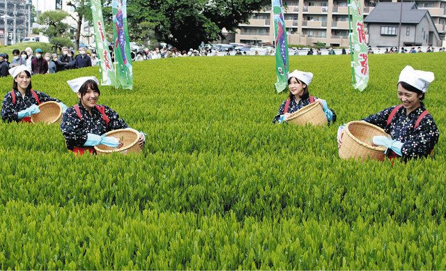 入間市役所前で行われた八十八夜新茶まつりの様子 