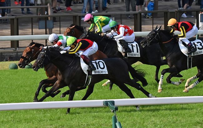 シャフリヤールがハナ差でダービー勝利：東京新聞 TOKYO Web