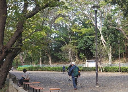 多摩川台公園 東京都大田区 千数百年 威容誇る古墳群 東京新聞 Tokyo Web