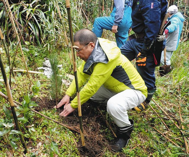 南房総 久枝の海岸林 美観を次代へ 地元住民と林野庁が協定 東京新聞 Tokyo Web