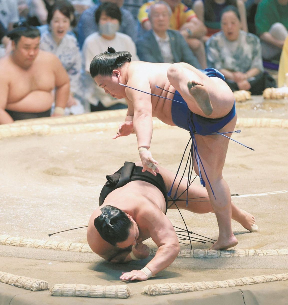 藤ノ川が2日連続の金星 横綱豊昇龍に土俵際で逆転「当たりながら動けた