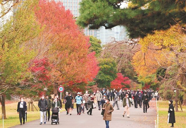 3年ぶりに一般公開された乾通りで紅葉を楽しむ人たち＝26日、皇居で（中西祥子撮影）
