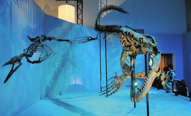 ド迫力！恐竜 骨格標本 多彩な照明で演出 東京ミッドタウン12日まで