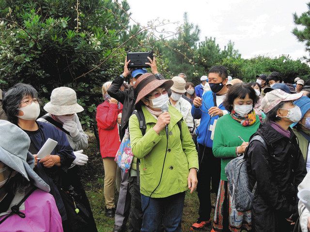 公園整備予定の樹林帯で植生などをマイクを握って説明する藤原さん（中）＝平塚市で 