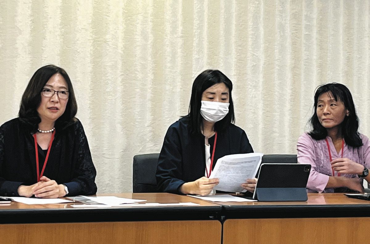 Japan’s Family Courts Under Fire: UN Recommendation Sparks Fears for Child and Mother Safety