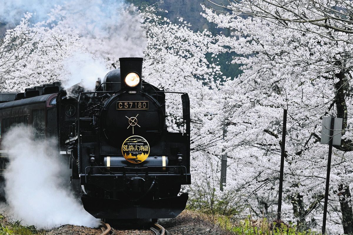 しあわせの風」が磐梯山を背に走り抜けた 満開の桜に映える「SLばん