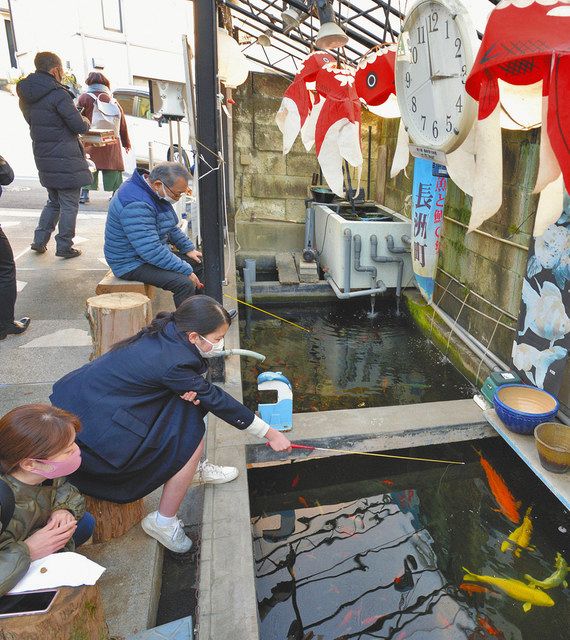 金魚坂で金魚釣りを楽しむ筆者ら。金魚のほかに大型のコイも泳ぐ＝文京区で