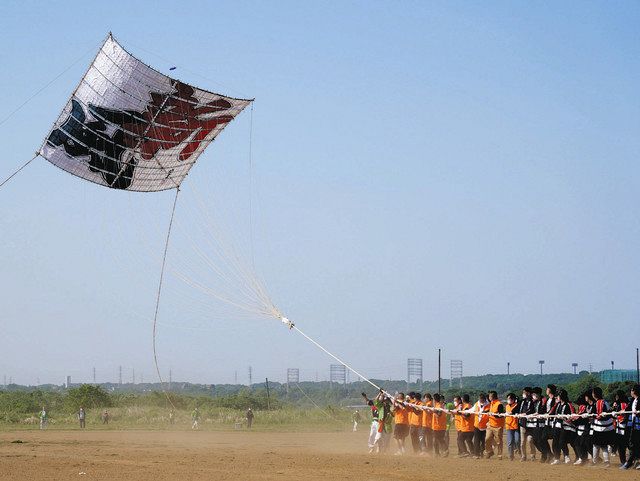大凧「新風」 コロナ収束願い舞う 3年ぶり「座間市大凧まつり」始まる