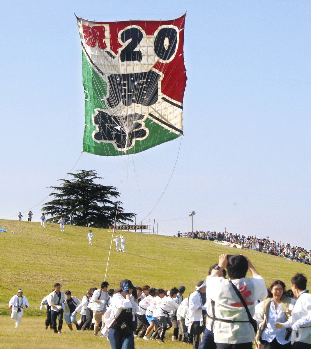 大凧 和凧 カイト (宇治川合戦 大凧) 日本製 (原画 橋本禎造) T-401