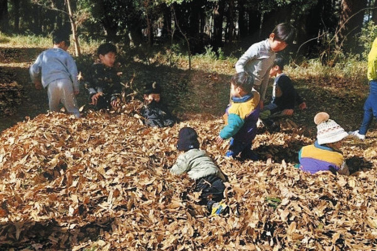「人権の森」親子で楽しもう 多磨全生園で24日催し 秘密基地づくり体験など:東京新聞デジタル
