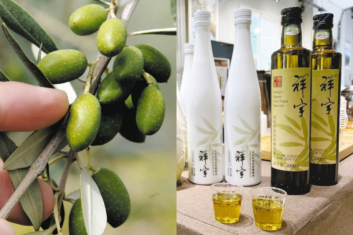 竜とみつばち : 中国海域のオランダ人400年史 竜とみつばち : 中国海域のオランダ人400年史(レオナルド