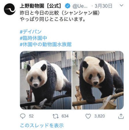 上野動物園ツイッター フォロワー１００万人突破 東京新聞 Tokyo Web